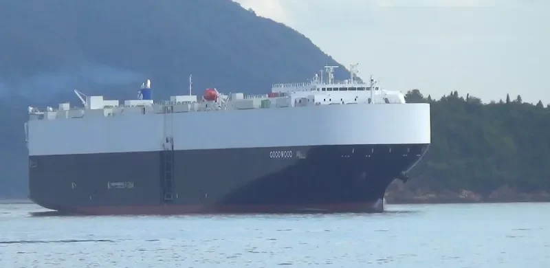GOODWOOD General Cargo IMO 9701140 photo 10