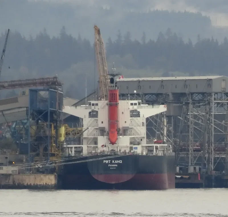 PRT KAHO Bulk Carrier IMO 9701152 photo 6