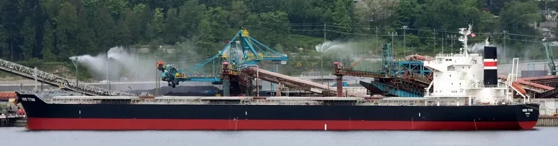 NORD TITAN Bulk Carrier IMO 9701164
