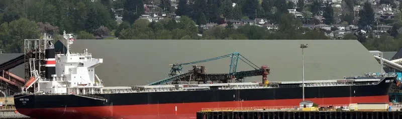 NORD TITAN Bulk Carrier IMO 9701164 photo 4