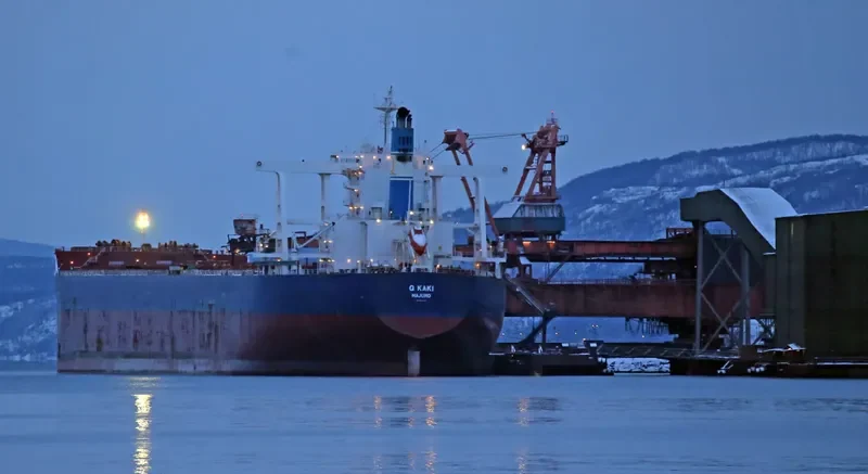 GOLDEN KAKI Bulk Carrier IMO 9701176 photo 2