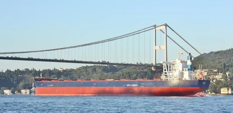 GOLDEN KAKI Bulk Carrier IMO 9701176 photo 5