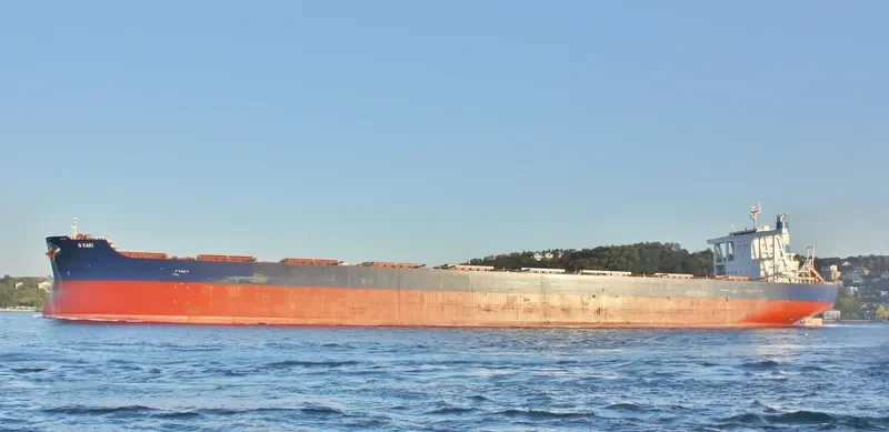 GOLDEN KAKI Bulk Carrier IMO 9701176 photo 6