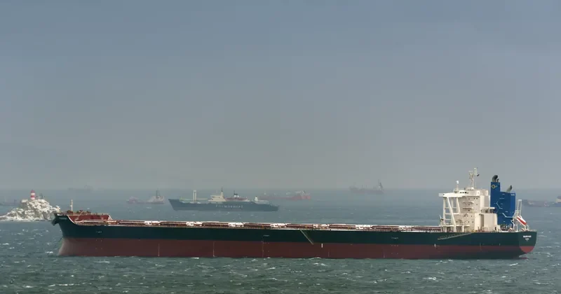 GOLDEN KAKI Bulk Carrier IMO 9701176 photo 10
