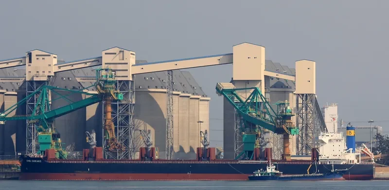 CMB CHIKAKO Bulk Carrier IMO 9701190
