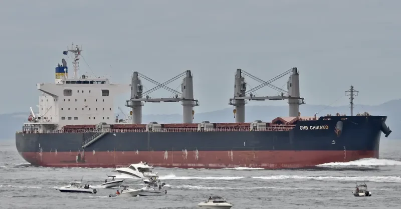 CMB CHIKAKO Bulk Carrier IMO 9701190 photo 3
