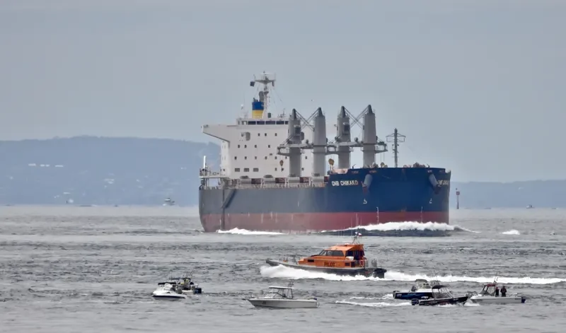 CMB CHIKAKO Bulk Carrier IMO 9701190 photo 4