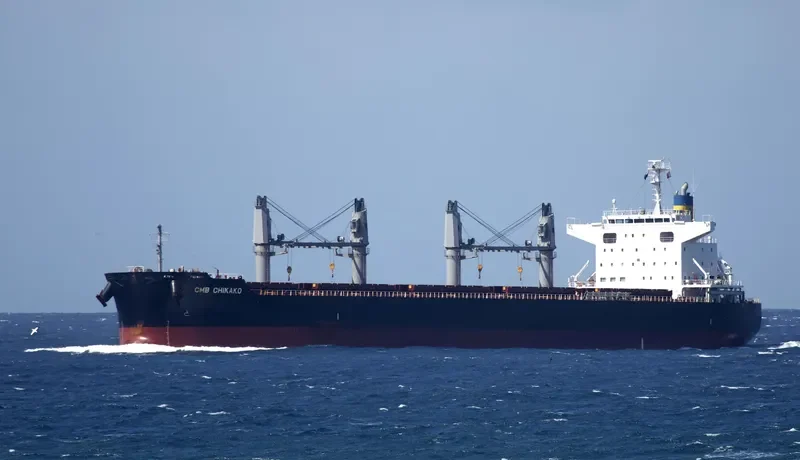 CMB CHIKAKO Bulk Carrier IMO 9701190 photo 6