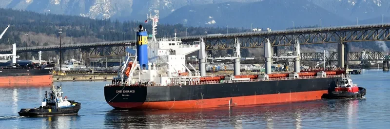CMB CHIKAKO Bulk Carrier IMO 9701190 photo 8