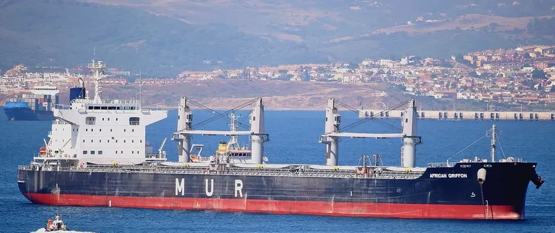 AFRICAN GRIFFON Bulk Carrier IMO 9701205 photo 3
