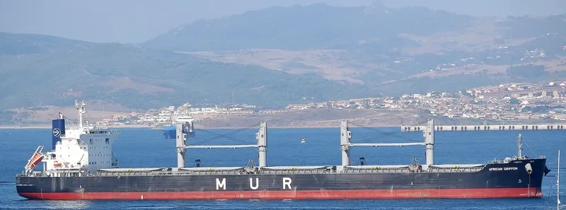 AFRICAN GRIFFON Bulk Carrier IMO 9701205 photo 4