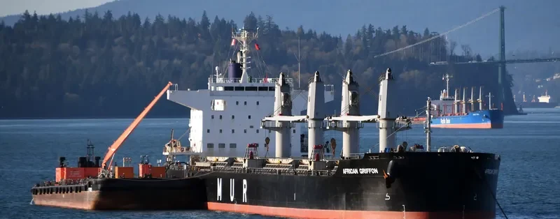 AFRICAN GRIFFON Bulk Carrier IMO 9701205 photo 5