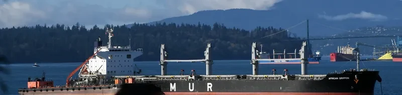 AFRICAN GRIFFON Bulk Carrier IMO 9701205 photo 6