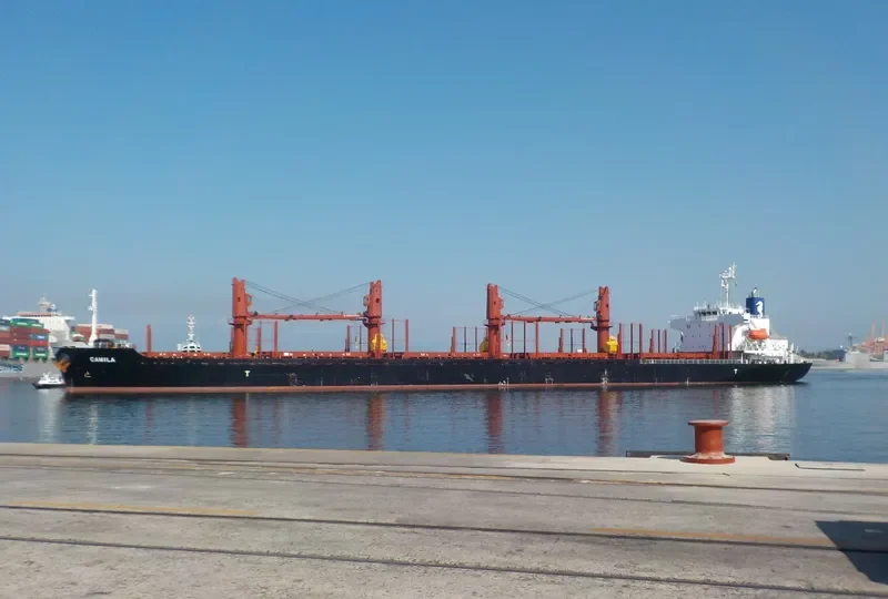 CAMILA Bulk Carrier IMO 9701231 photo 2