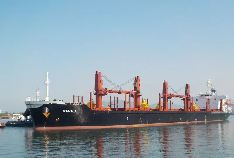 CAMILA Bulk Carrier IMO 9701231 photo 3