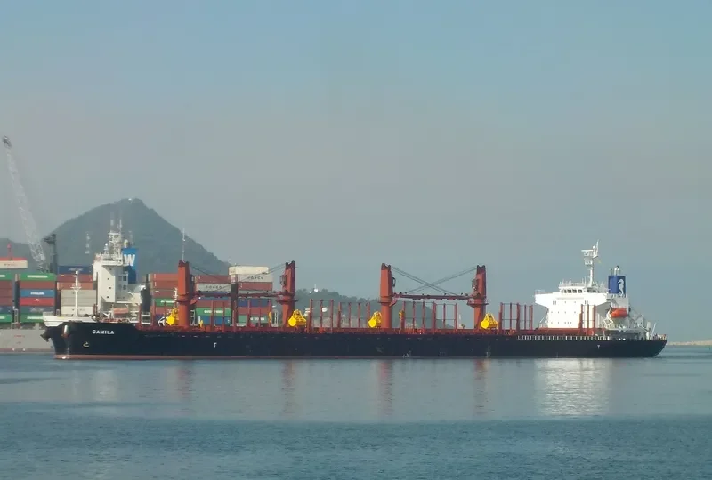 CAMILA Bulk Carrier IMO 9701231 photo 4