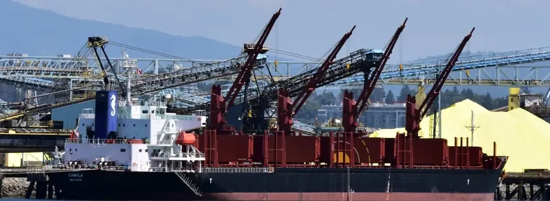 CAMILA Bulk Carrier IMO 9701231 photo 7