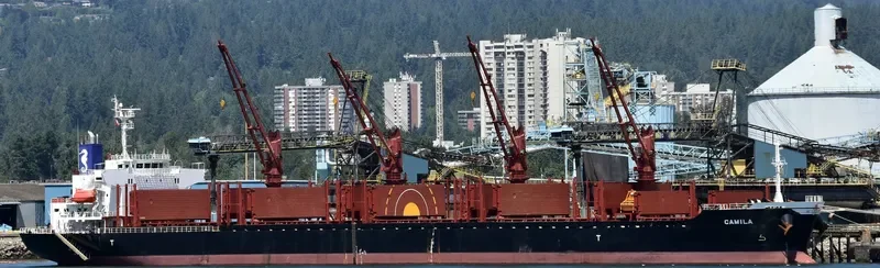 CAMILA Bulk Carrier IMO 9701231 photo 8