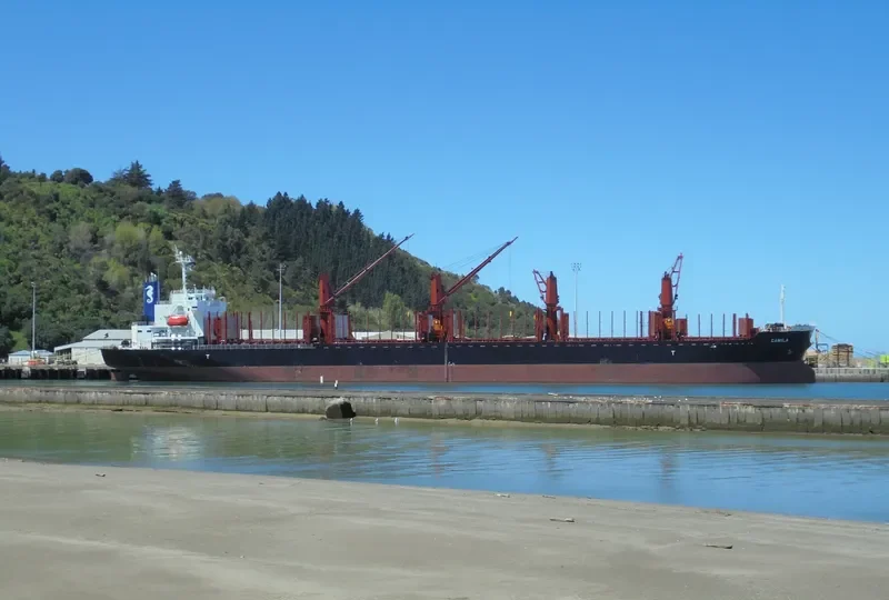 CAMILA Bulk Carrier IMO 9701231 photo 10