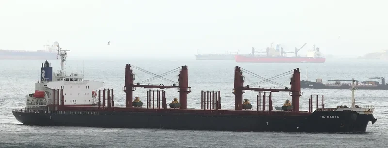 TIA MARTA Bulk Carrier IMO 9701243 photo 8