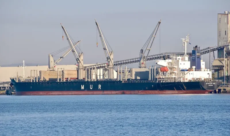 AFRICAN OWL Bulk Carrier IMO 9701255