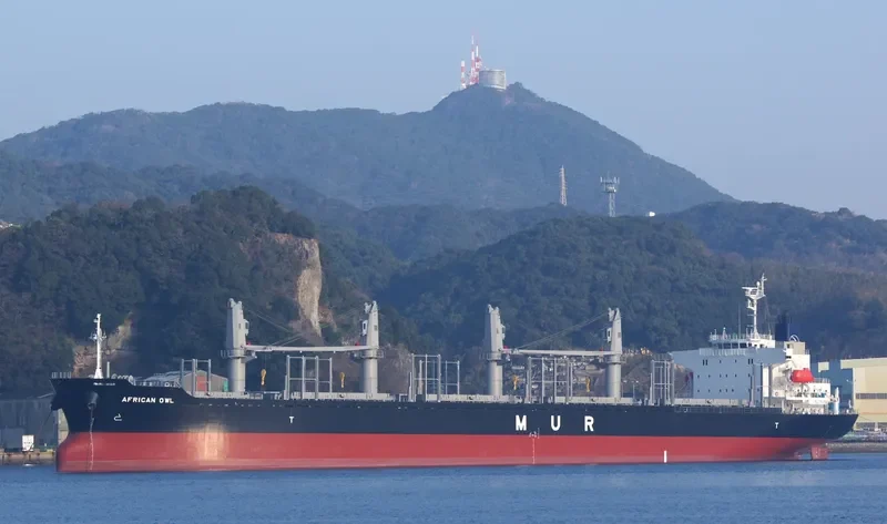 AFRICAN OWL Bulk Carrier IMO 9701255 photo 2
