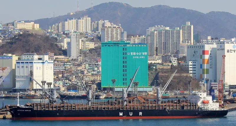 AFRICAN MERLIN Bulk Carrier IMO 9701267