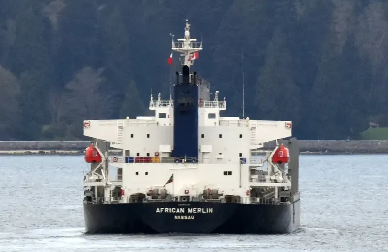 AFRICAN MERLIN Bulk Carrier IMO 9701267 photo 2