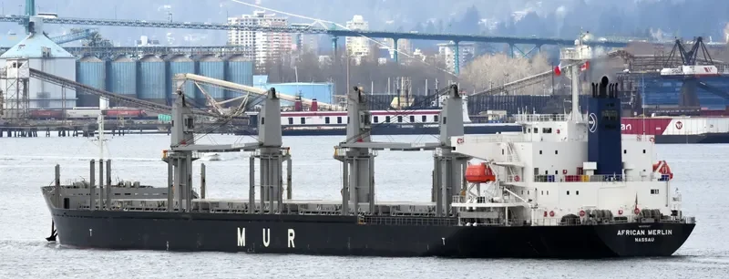 AFRICAN MERLIN Bulk Carrier IMO 9701267 photo 3