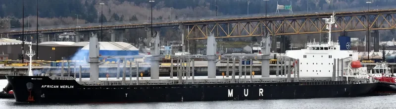 AFRICAN MERLIN Bulk Carrier IMO 9701267 photo 4