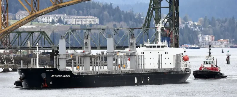 AFRICAN MERLIN Bulk Carrier IMO 9701267 photo 5
