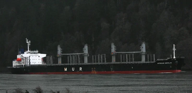 AFRICAN MERLIN Bulk Carrier IMO 9701267 photo 6
