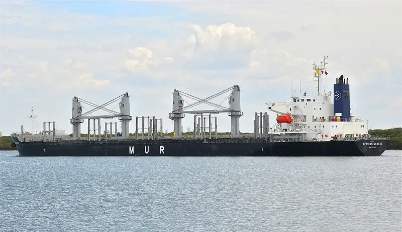 AFRICAN MERLIN Bulk Carrier IMO 9701267 photo 7