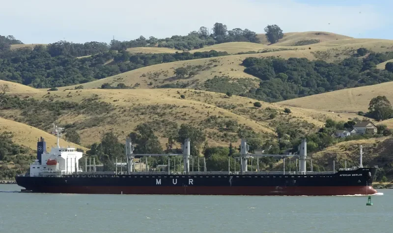 AFRICAN MERLIN Bulk Carrier IMO 9701267 photo 8