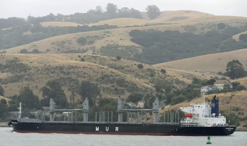 AFRICAN MERLIN Bulk Carrier IMO 9701267 photo 9