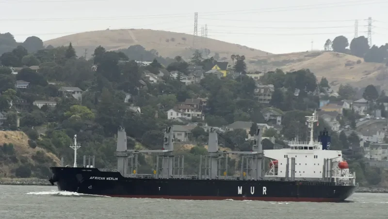 AFRICAN MERLIN Bulk Carrier IMO 9701267 photo 10