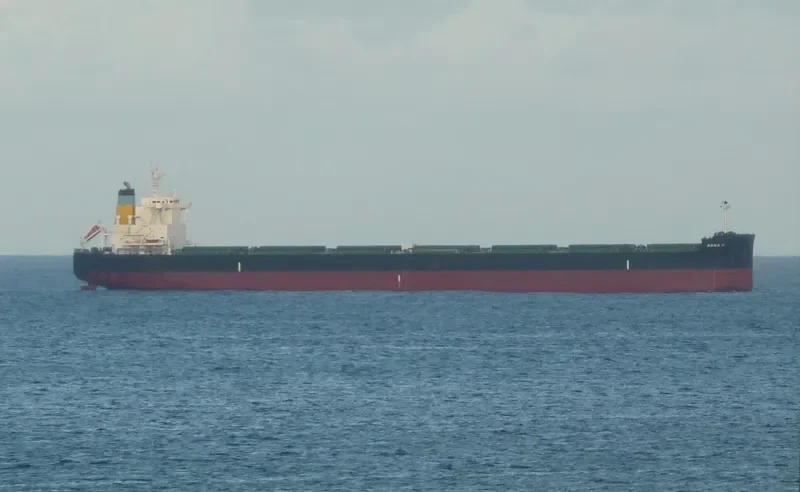 ANNA G. Bulk Carrier IMO 9701310 photo 3