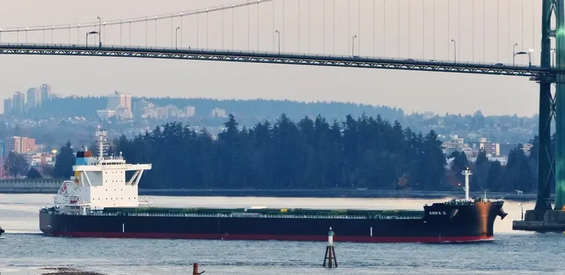 ANNA G. Bulk Carrier IMO 9701310 photo 6