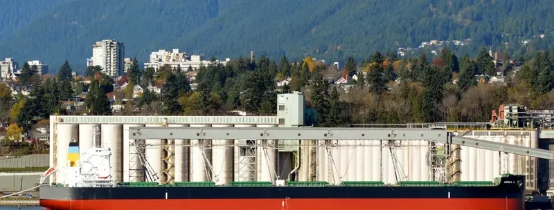 ANNA G. Bulk Carrier IMO 9701310 photo 7