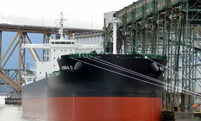 ANNA G. Bulk Carrier IMO 9701310 photo 8