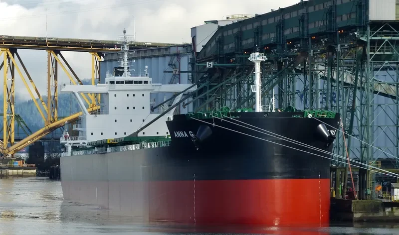ANNA G. Bulk Carrier IMO 9701310 photo 10