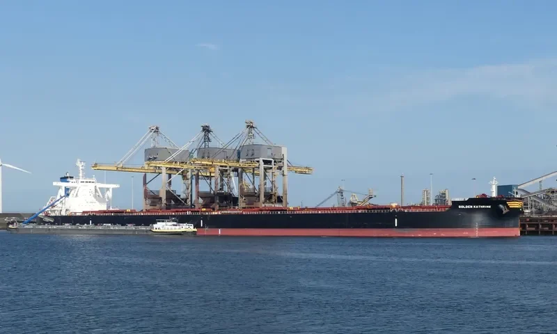 GOLDEN KATHRINE Bulk Carrier IMO 9701322 photo 5