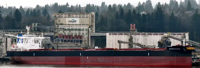 GOLDEN KATHRINE Bulk Carrier IMO 9701322 photo 6