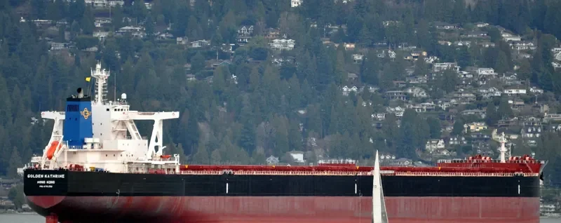GOLDEN KATHRINE Bulk Carrier IMO 9701322 photo 7