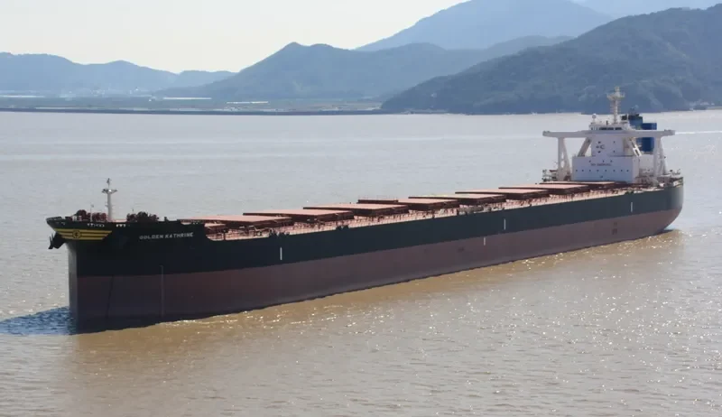 GOLDEN KATHRINE Bulk Carrier IMO 9701322 photo 8