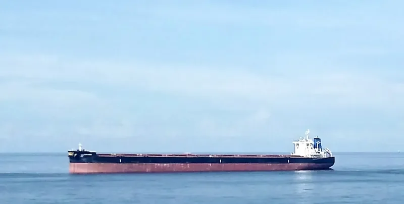 GOLDEN ASO Bulk Carrier IMO 9701334 photo 4