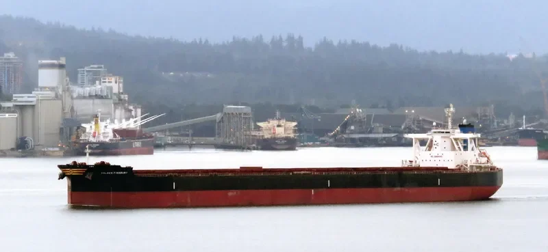 GOLDEN FINSBURY Bulk Carrier IMO 9701346