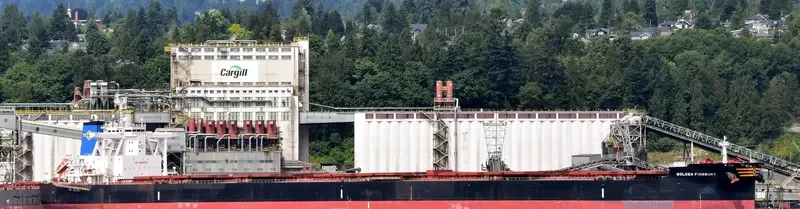 GOLDEN FINSBURY Bulk Carrier IMO 9701346 photo 2