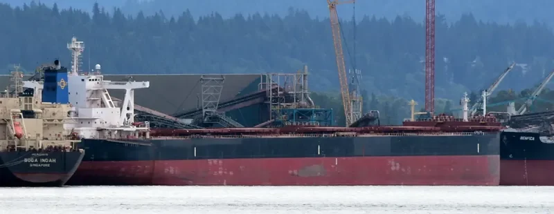 GOLDEN FINSBURY Bulk Carrier IMO 9701346 photo 3