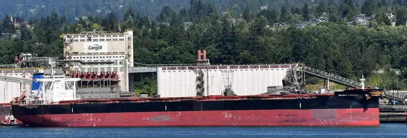 GOLDEN FINSBURY Bulk Carrier IMO 9701346 photo 4